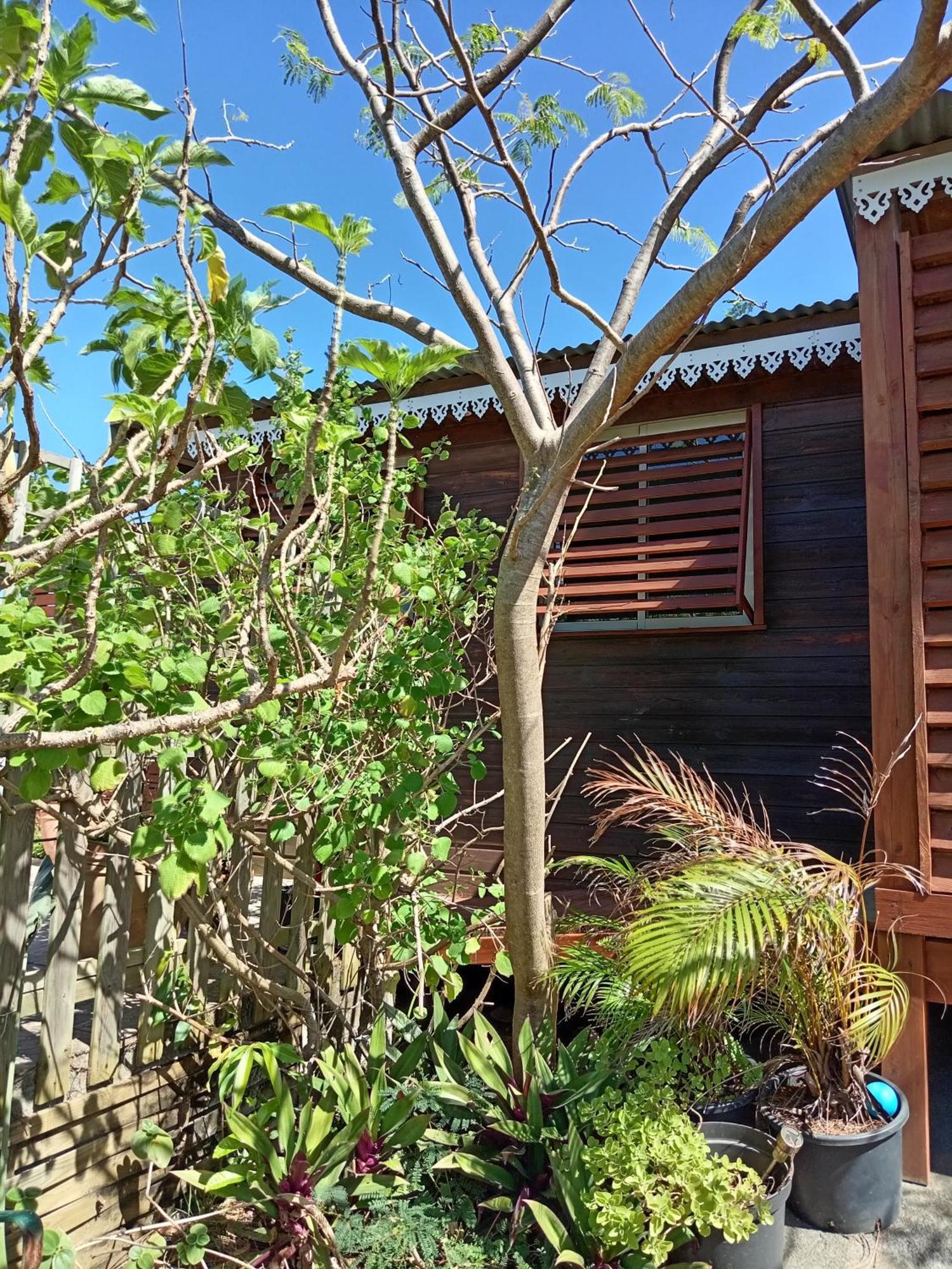Location Bord Ocean, Holi-Wood Villa Saint-Joseph Bagian luar foto
